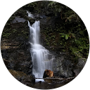 Lauryn Mccallum profile picture