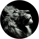 nath splr profile picture